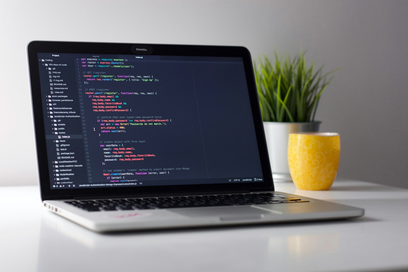 Custom software development
